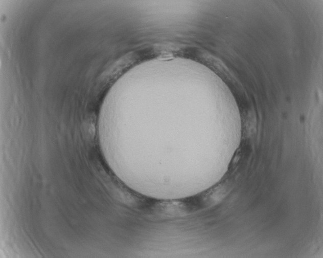 X0000070430427200606302131