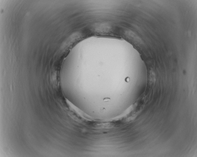 X0000070430428200606302131