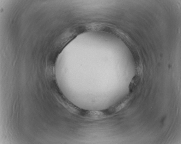 X0000070430429200606302131