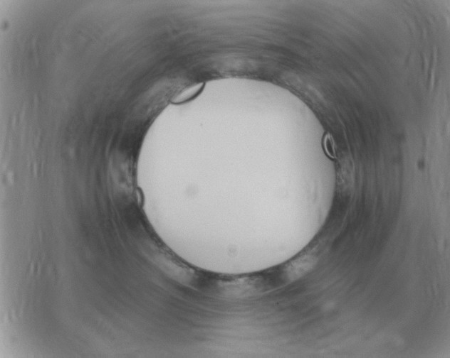 X0000070430430200606302131