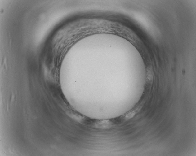 X0000070430431200606302131