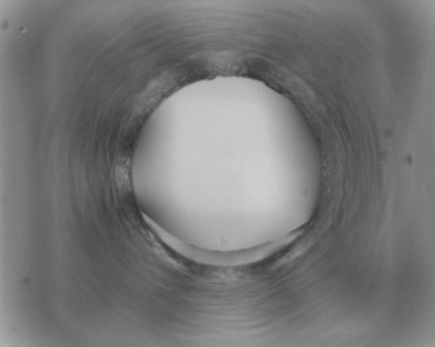 X0000070430432200606302131