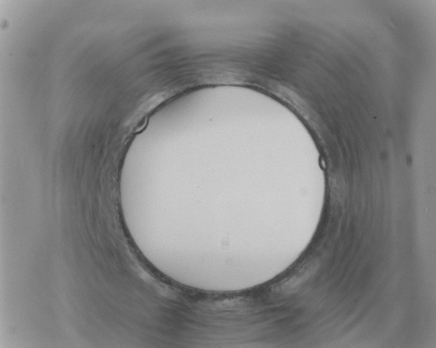 X0000070430433200606302130