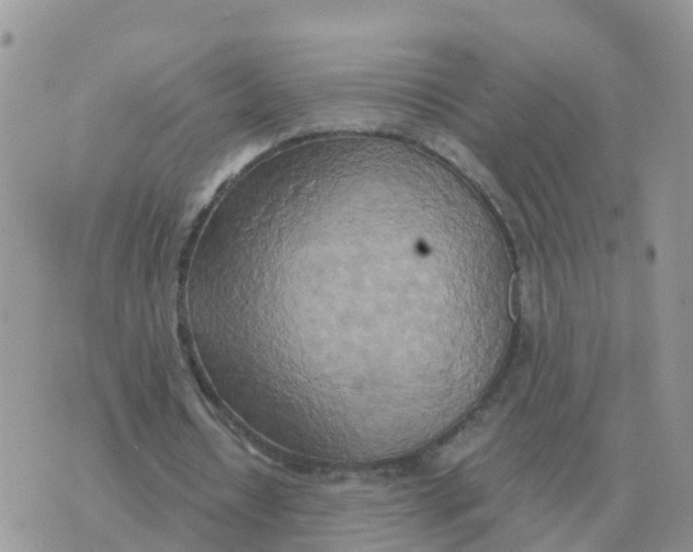 X0000070430434200606302130