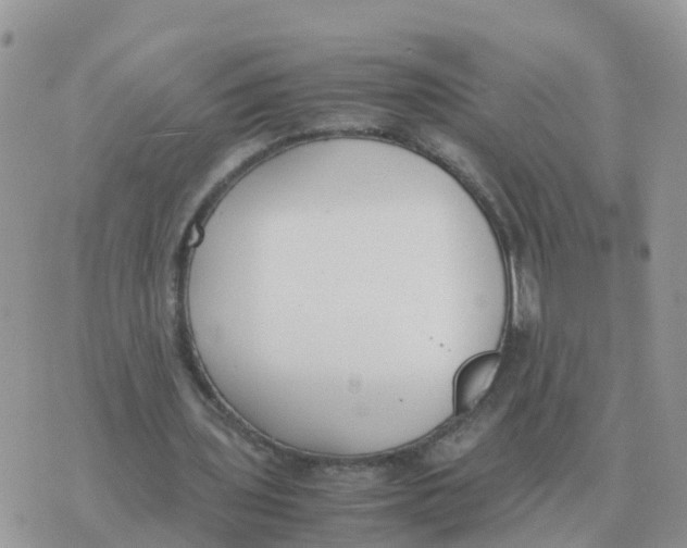 X0000070430435200606302130