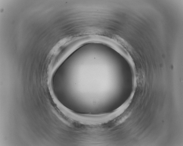 X0000070430436200606302130