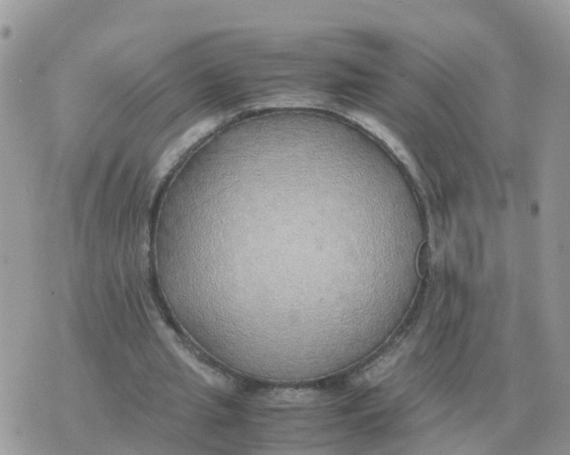 X0000070430437200606302130