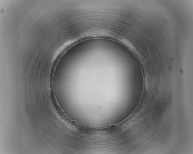 X0000070430438200606302130