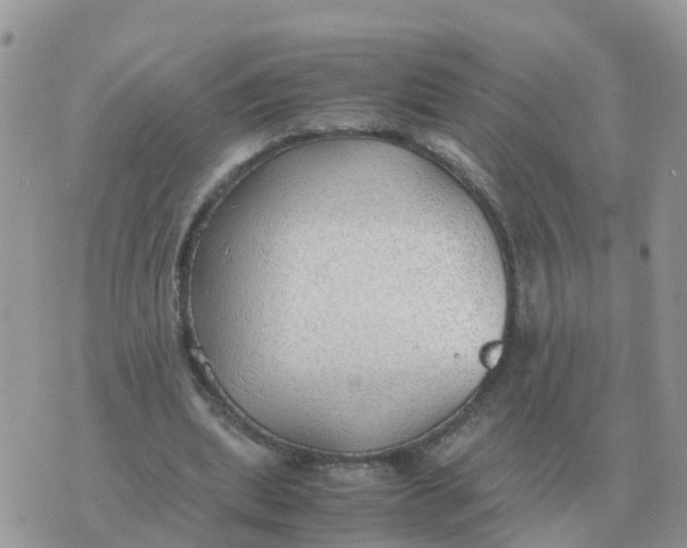 X0000070430439200606302130