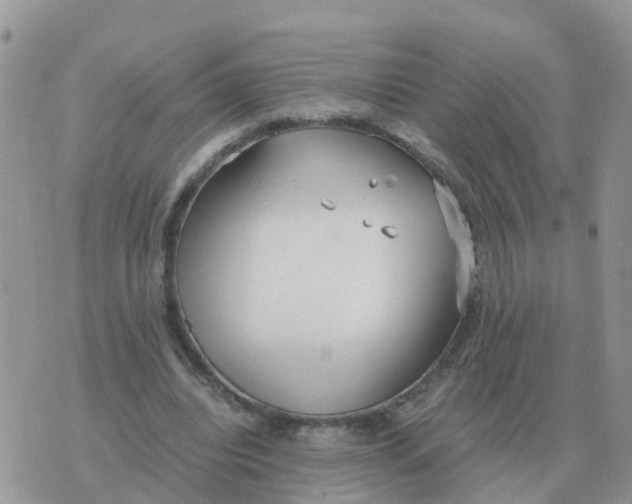 X0000070430440200606302130