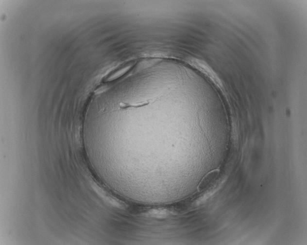 X0000070430441200606302130