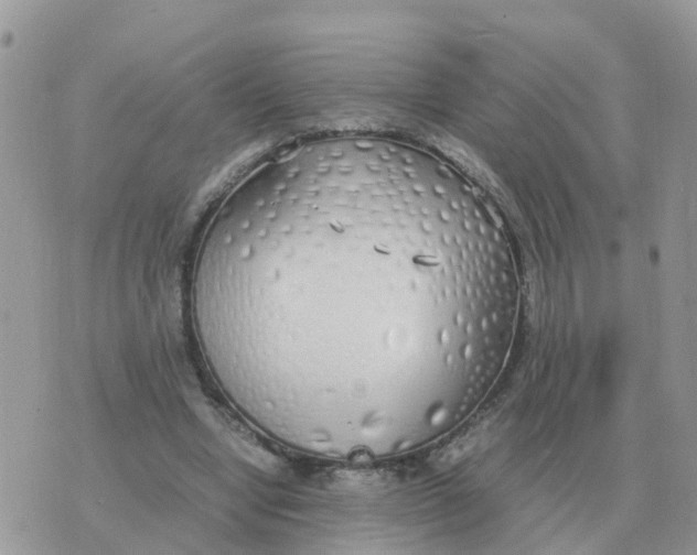 X0000070430442200606302130