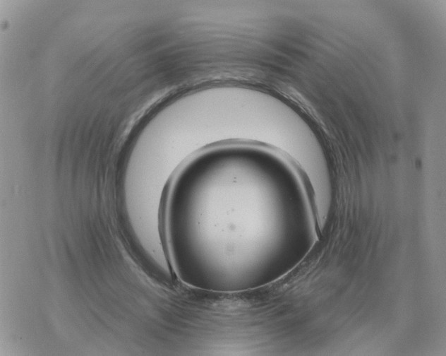 X0000070430444200606302130