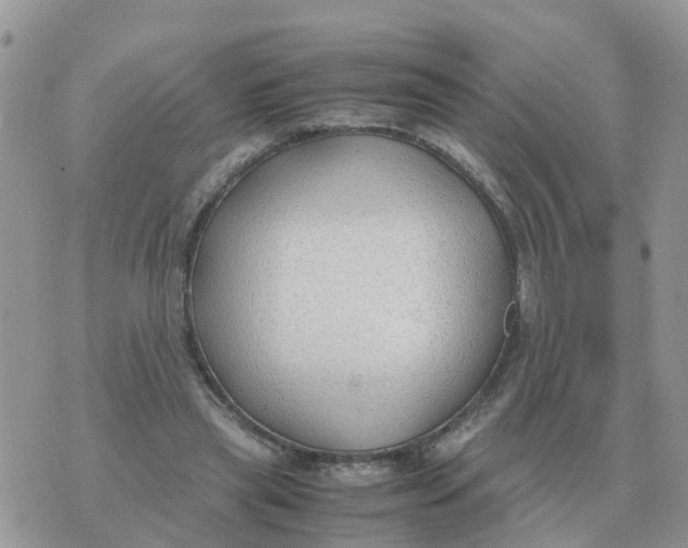 X0000070430445200606302130