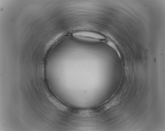 X0000070430446200606302130