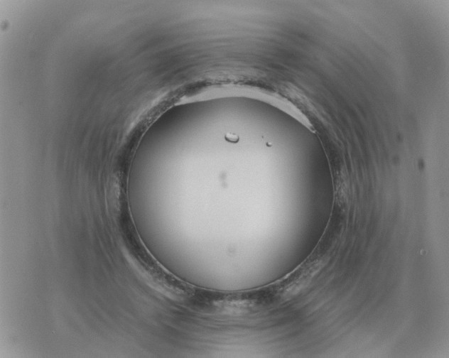 X0000070430448200606302130