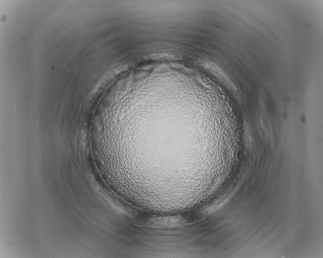 X0000070430449200606302130