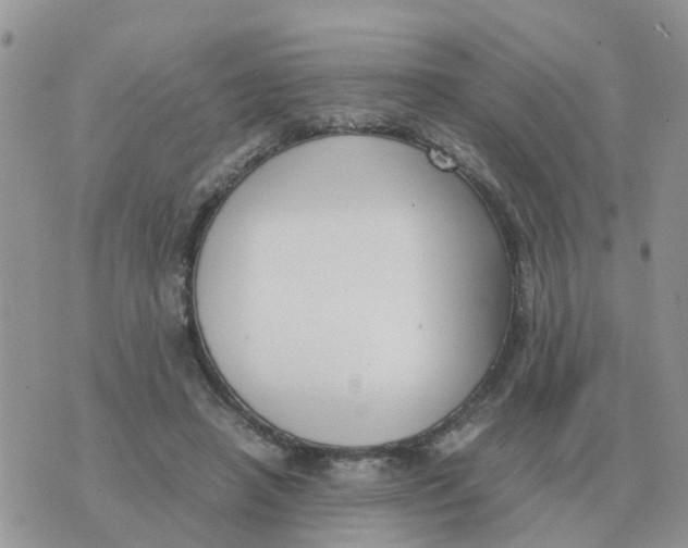 X0000070430450200606302130