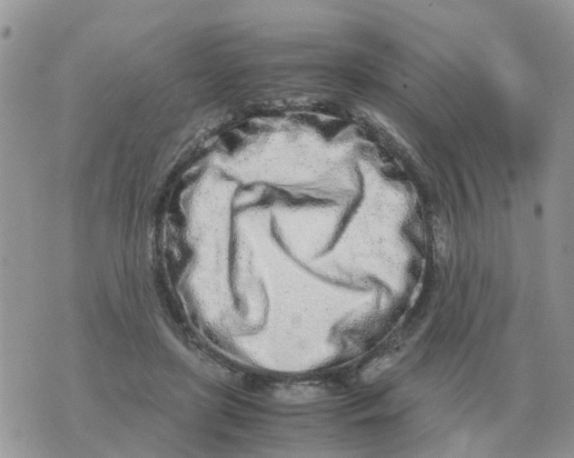 X0000070430451200606302130