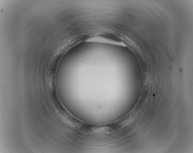 X0000070430452200606302130