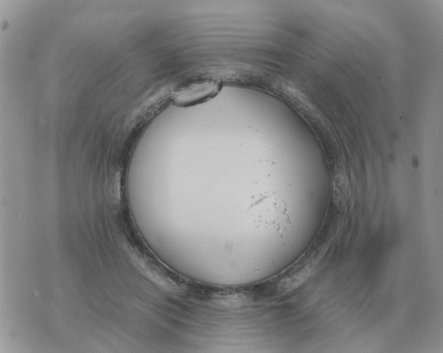 X0000070430454200606302130