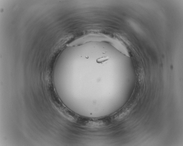 X0000070430455200606302130