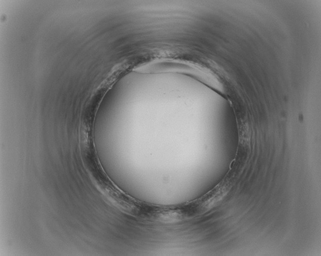 X0000070430456200606302130