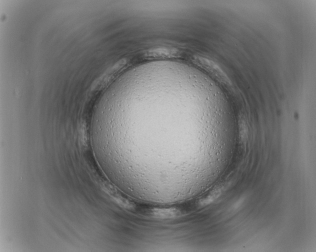 X0000070430457200606302130