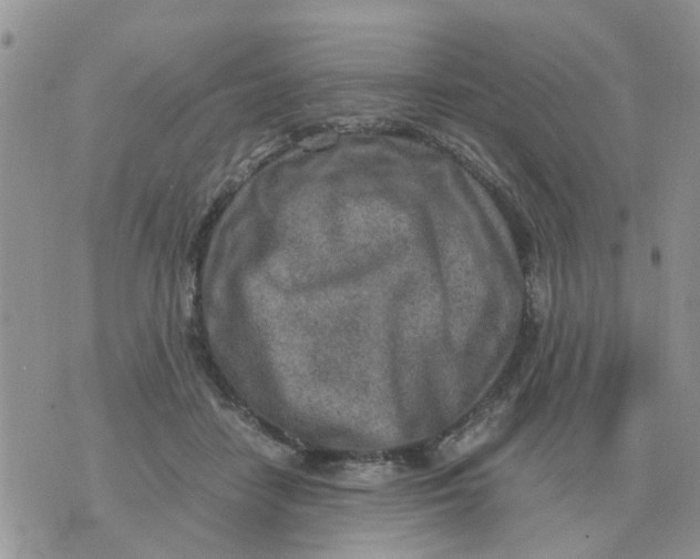 X0000070430458200606302130