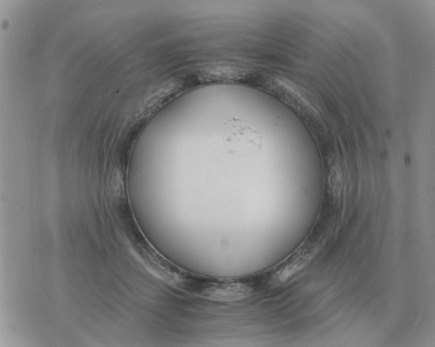 X0000070430459200606302130