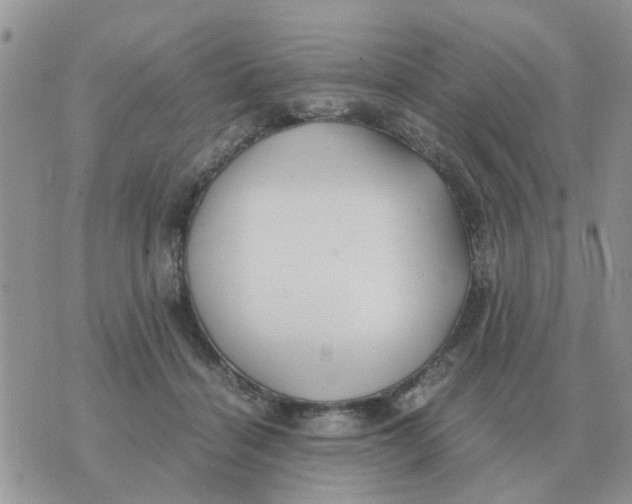 X0000070430460200606302130