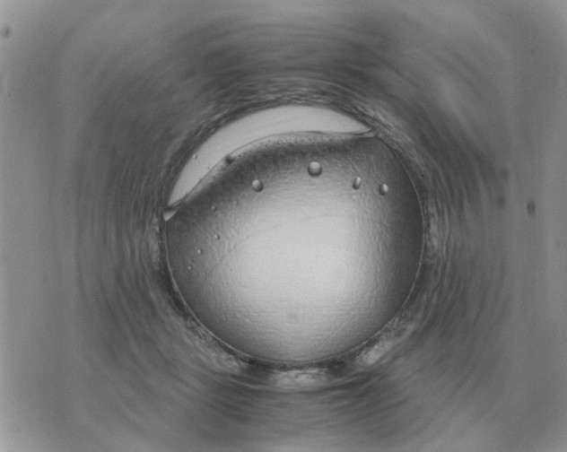 X0000070430461200606302130