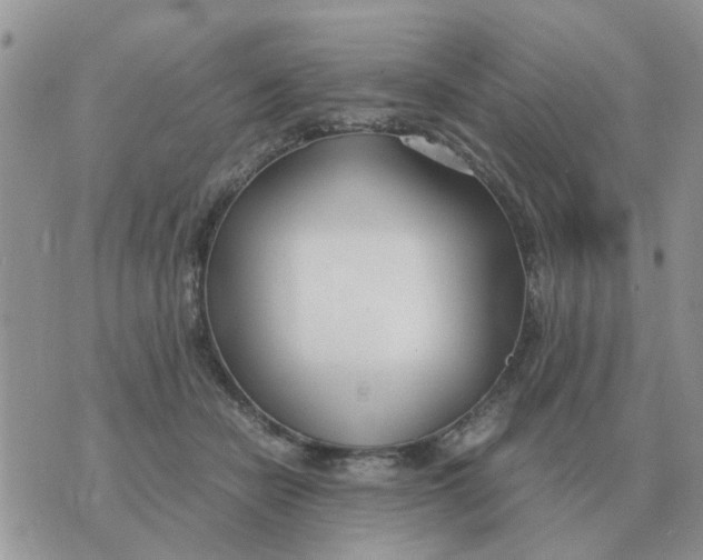 X0000070430462200606302130