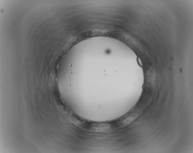 X0000070430463200606302130