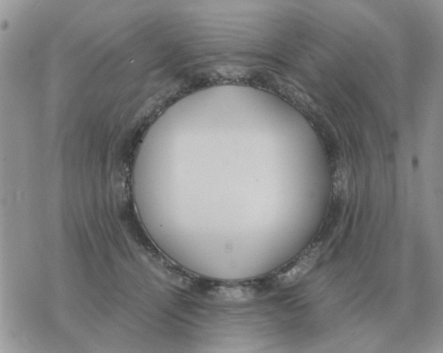 X0000070430464200606302130