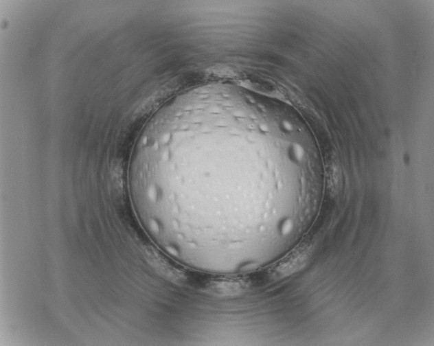 X0000070430466200606302131