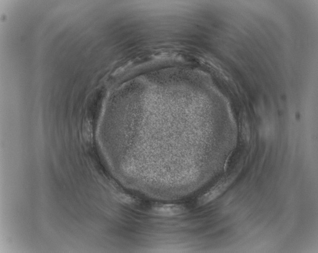 X0000070430467200606302131