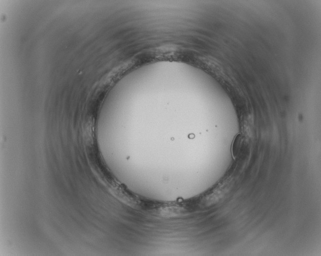 X0000070430468200606302131