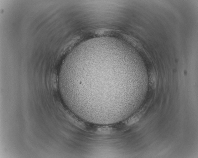 X0000070430470200606302131