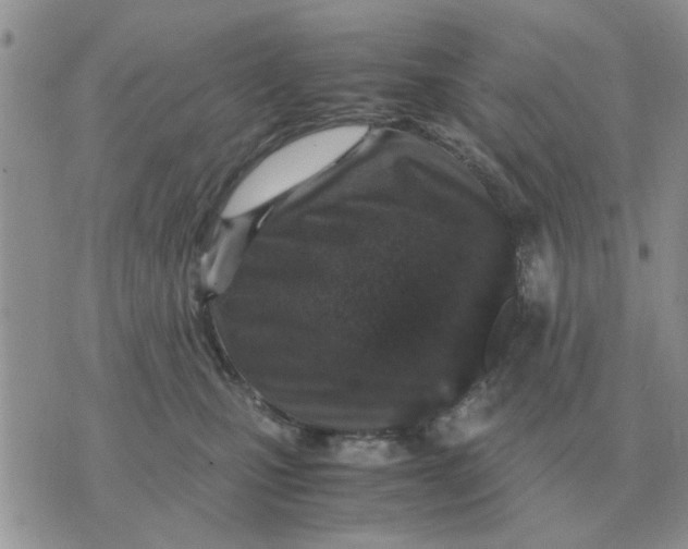 X0000070430471200606302131