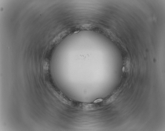 X0000070430472200606302131