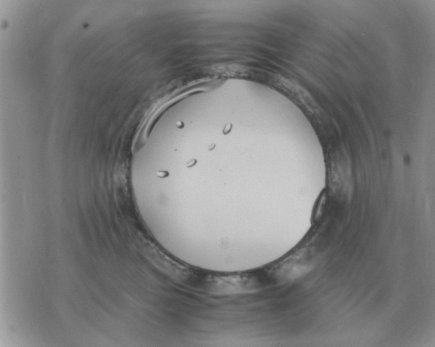 X0000070430473200606302131