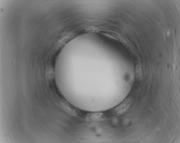 X0000070430474200606302131