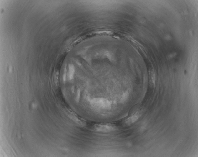 X0000070430475200606302131