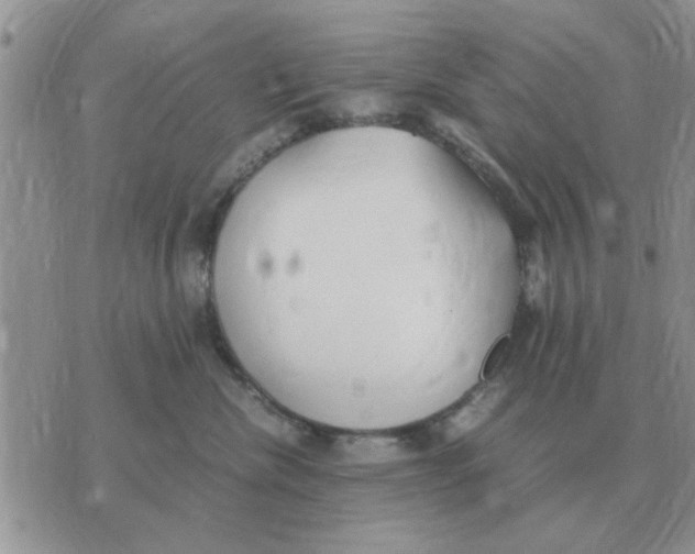 X0000070430476200606302131