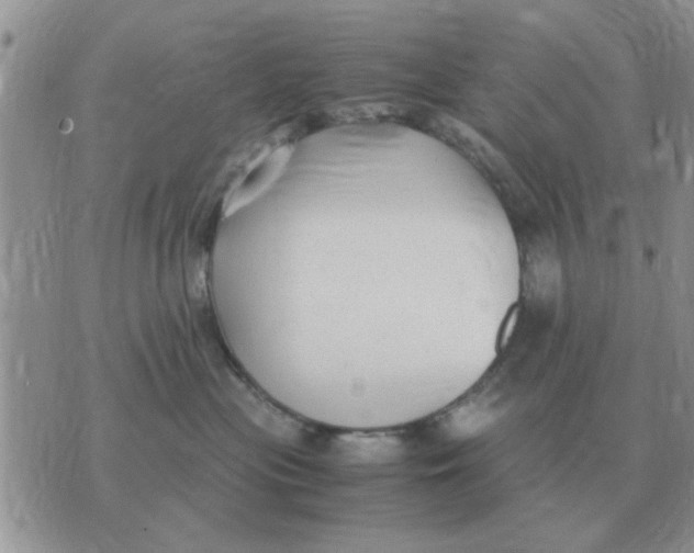 X0000070430477200606302131