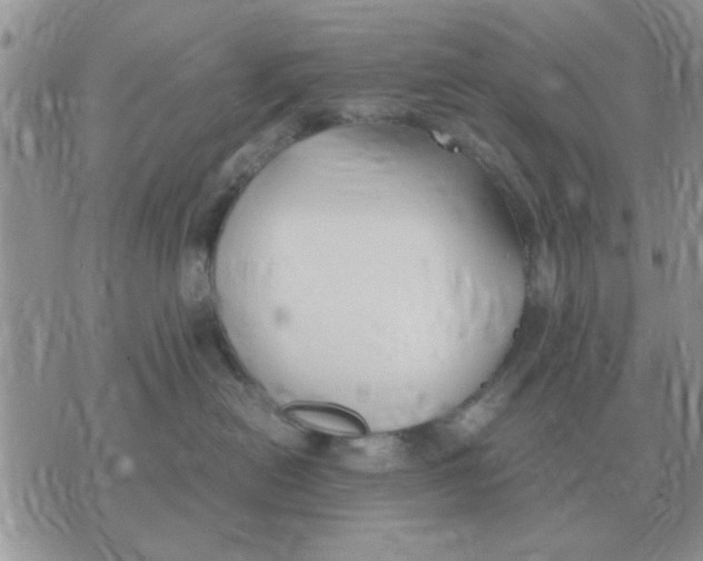 X0000070430478200606302131