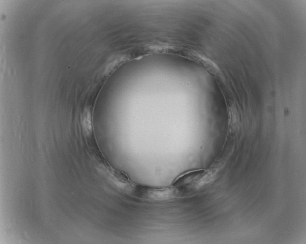 X0000070430479200606302131