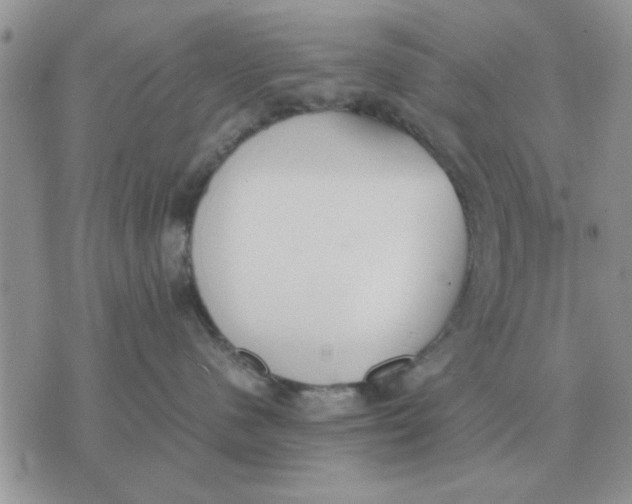 X0000070430480200606302131