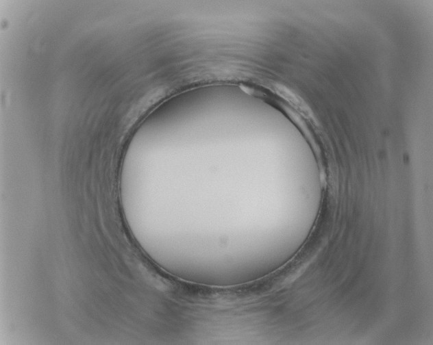 X0000070430481200606302130